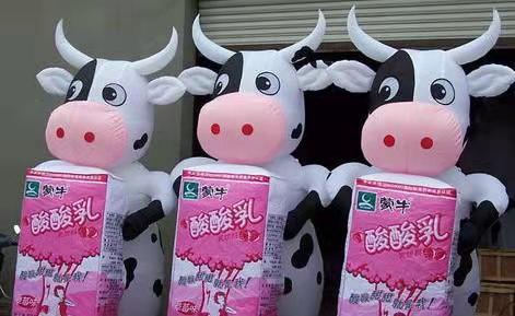 广西牛奶厂广告气模